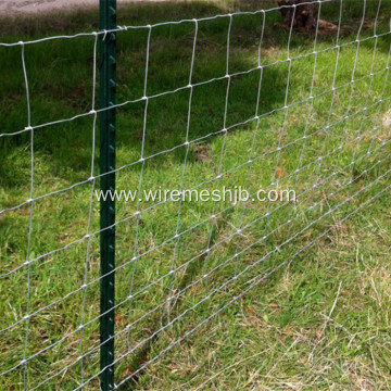 Agricultural Fencing-Woven Field Fence For Goats